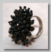 Strahlenring 355 (IMG_9552_02)